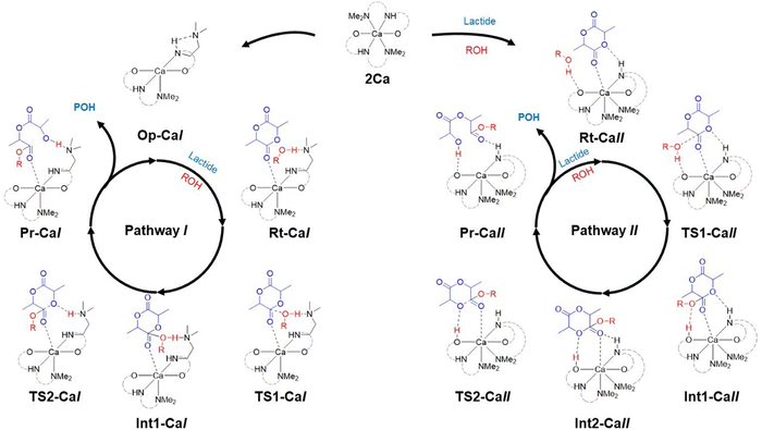 image file: d5cp02229k-s3.tif