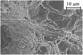 image file: d5cp02423d-f8.tif