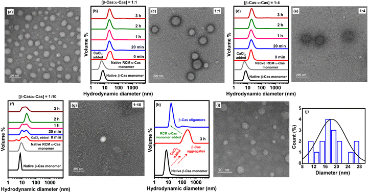 image file: d5cp02431e-f4.tif