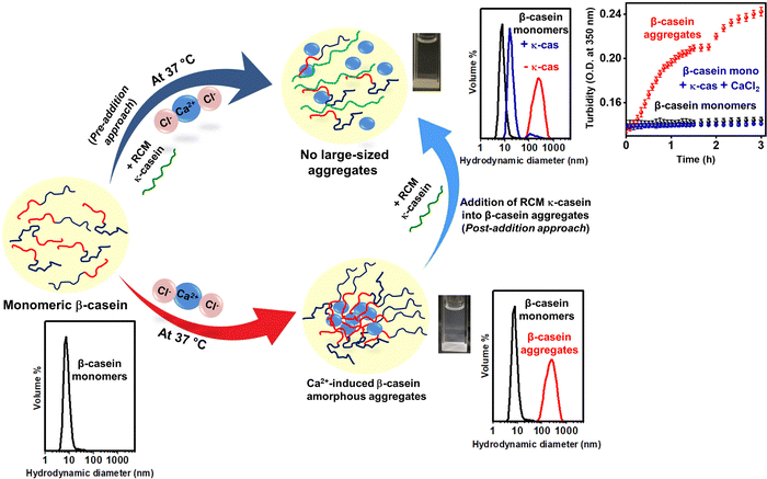 image file: d5cp02431e-f5.tif