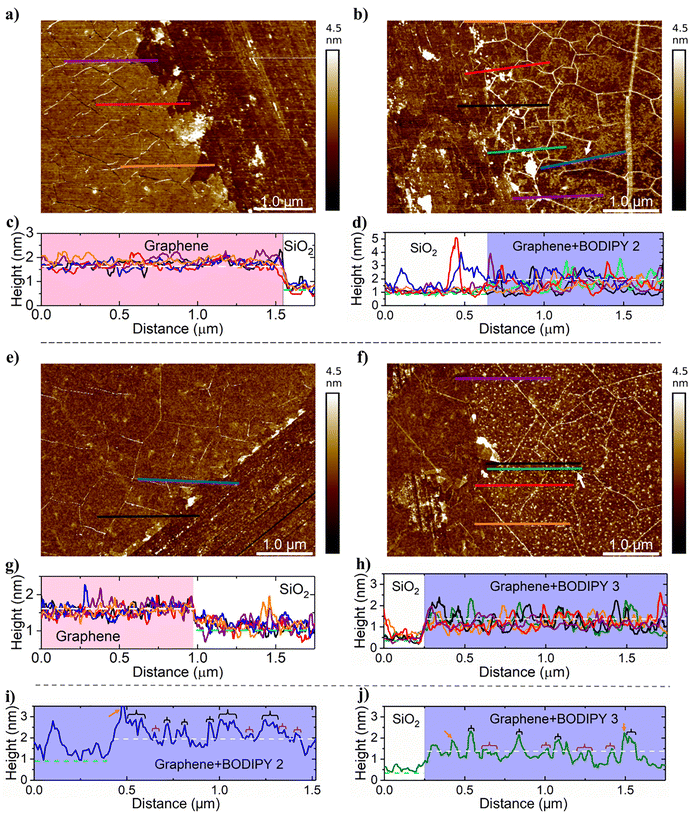 image file: d5cp02438b-f1.tif