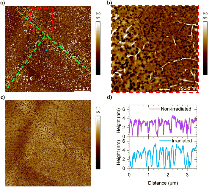 image file: d5cp02438b-f2.tif