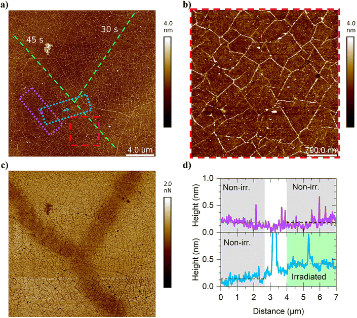 image file: d5cp02438b-f3.tif