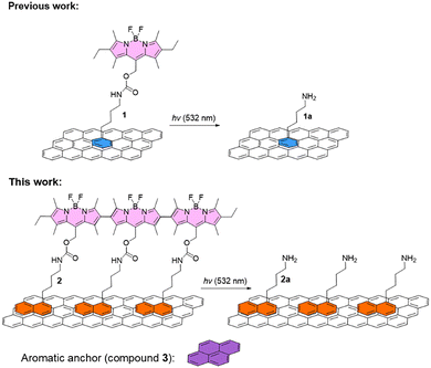image file: d5cp02438b-s1.tif