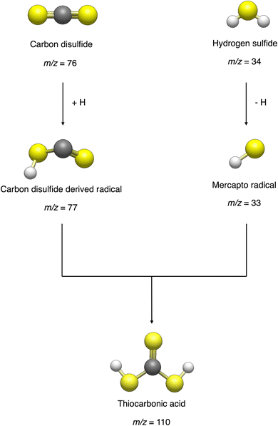 image file: d5cp02478a-s1.tif