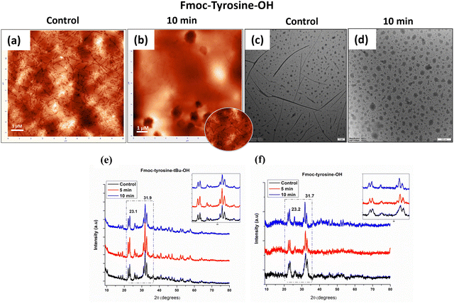 image file: d5cp02585k-f2.tif