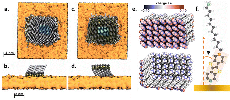 image file: d5cp02629f-f3.tif