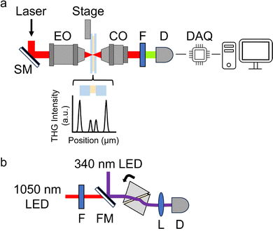 image file: d5cp02783g-f2.tif
