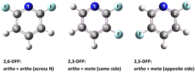 image file: d5cp03099d-f1.tif