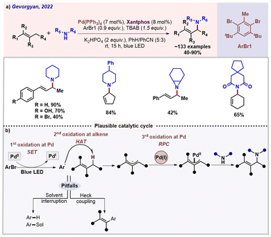 Unified approaches in transition metal catalyzed C(sp 3 )–H