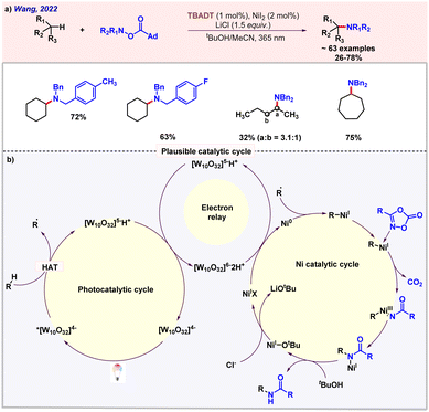 Unified approaches in transition metal catalyzed C(sp 3 )–H
