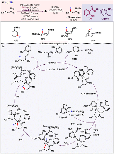 Unified approaches in transition metal catalyzed C(sp 3 )–H