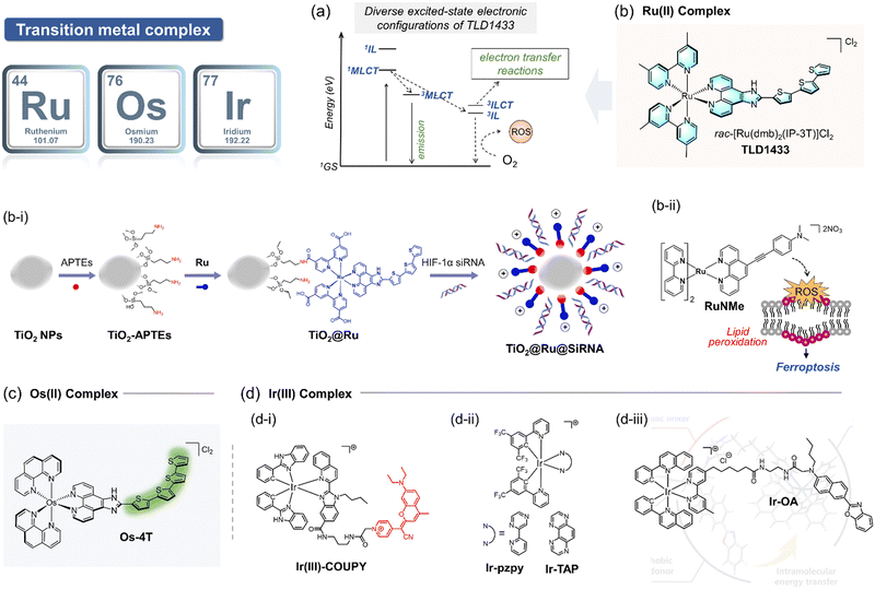 image file: d1cs01079d-f12.tif