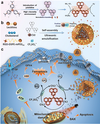 image file: d1cs01079d-f18.tif