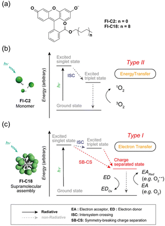 image file: d1cs01079d-f19.tif