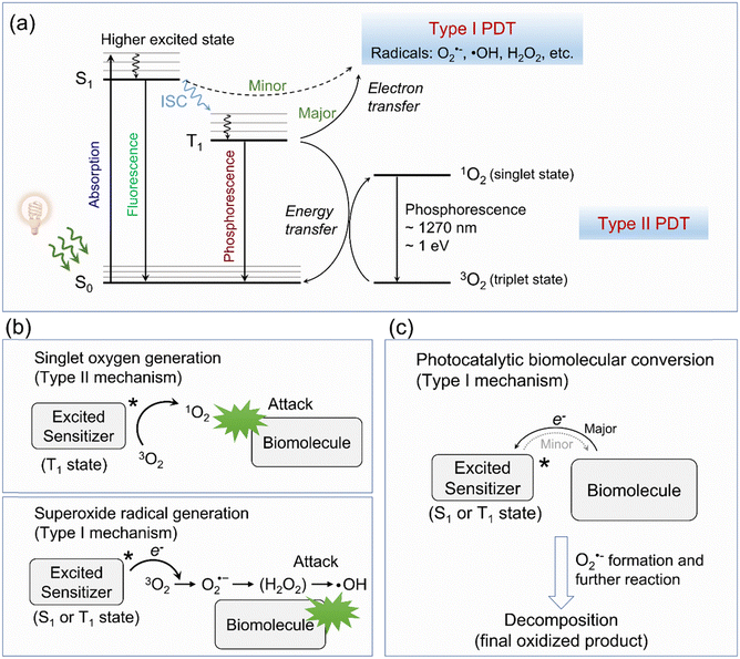 image file: d1cs01079d-f2.tif