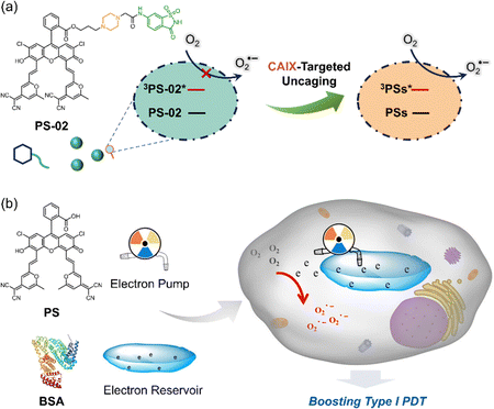 image file: d1cs01079d-f20.tif