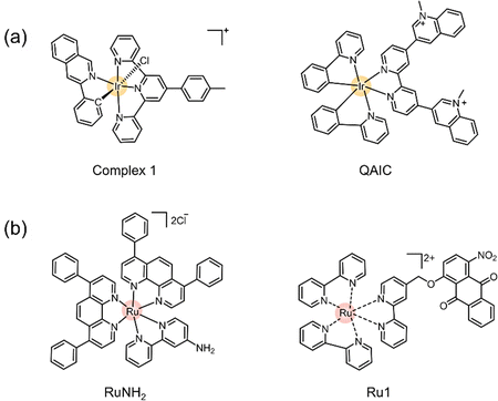 image file: d1cs01079d-f22.tif