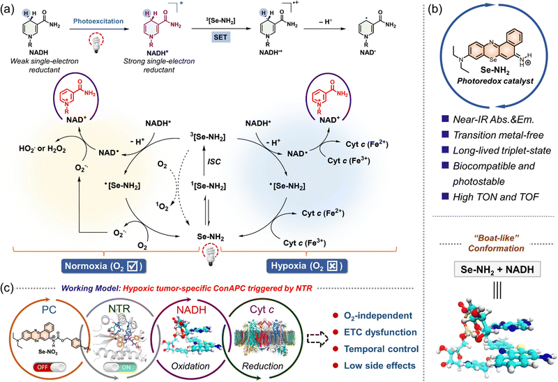 image file: d1cs01079d-f23.tif
