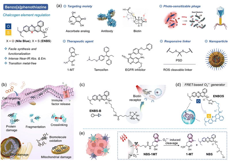 image file: d1cs01079d-f6.tif