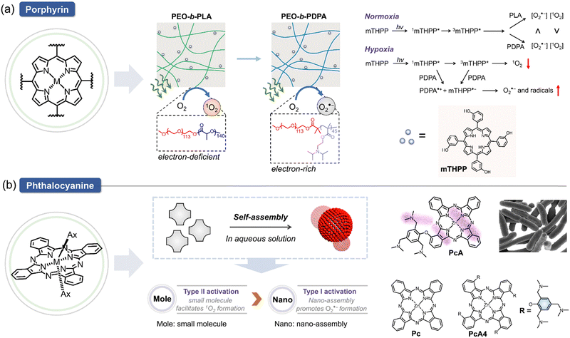 image file: d1cs01079d-f9.tif