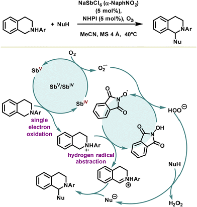 image file: d3cs00332a-s18.tif