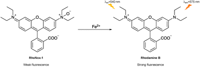 image file: d3cs01118f-f10.tif