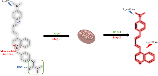 image file: d3cs01118f-f24.tif