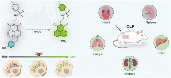 image file: d3cs01118f-f31.tif