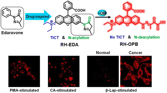 image file: d3cs01118f-f34.tif