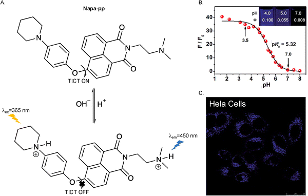image file: d3cs01118f-f4.tif