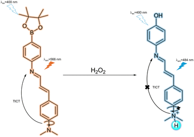 image file: d3cs01118f-f40.tif