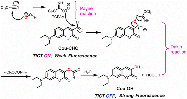 image file: d3cs01118f-f41.tif