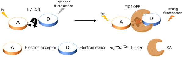 image file: d3cs01118f-f47.tif
