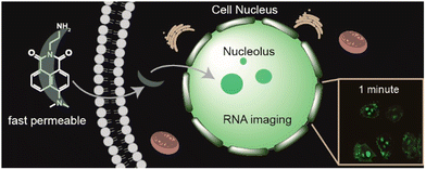 image file: d3cs01118f-f49.tif