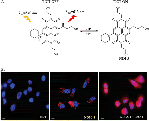 image file: d3cs01118f-f5.tif