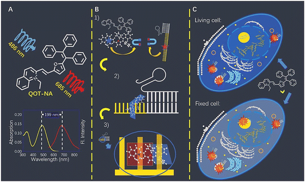 image file: d3cs01118f-f50.tif