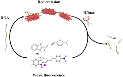 image file: d3cs01118f-f52.tif