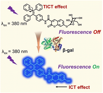 image file: d3cs01118f-f54.tif