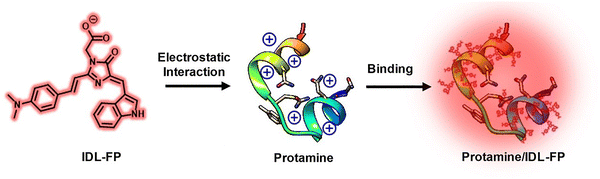 image file: d3cs01118f-f62.tif