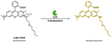 image file: d3cs01118f-f63.tif