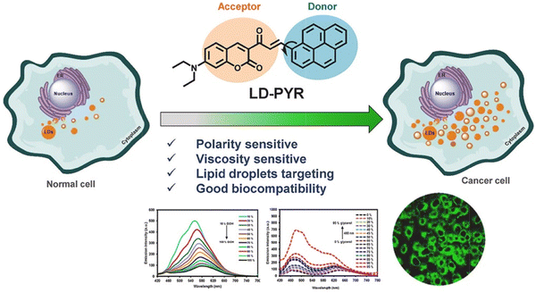 image file: d3cs01118f-f67.tif