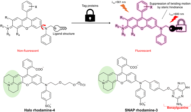 image file: d3cs01118f-f69.tif