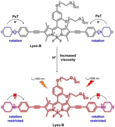 image file: d3cs01118f-f71.tif