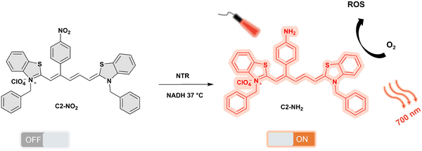 image file: d3cs01118f-f73.tif