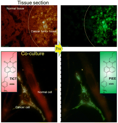image file: d3cs01118f-f77.tif