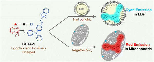 image file: d3cs01118f-f78.tif