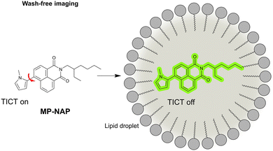 image file: d3cs01118f-f79.tif