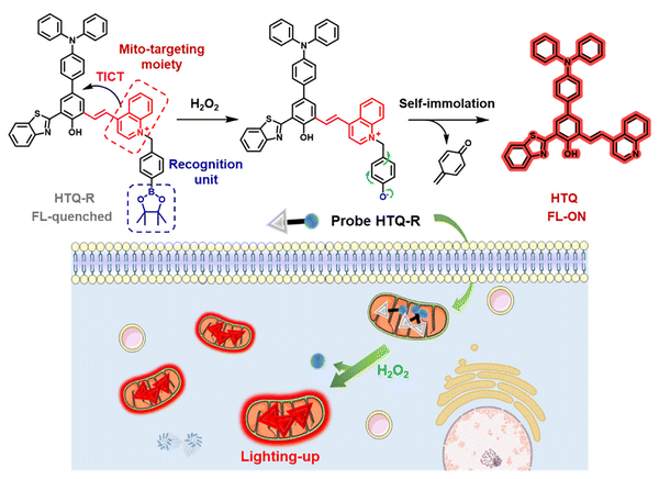 image file: d3cs01118f-f84.tif