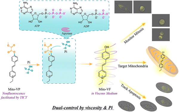 image file: d3cs01118f-f89.tif